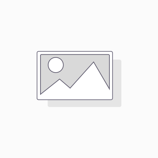 iPhone 16 Pro Max (2025)